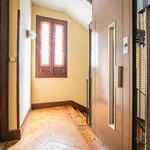 Alquilar 11 dormitorio apartamento en Madrid