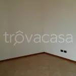 Affitto 1 camera appartamento di 60 m² in Trecate