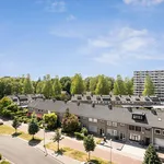 Huur 4 slaapkamer appartement van 112 m² in Vaartbroek