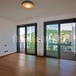 Rent 5 bedroom house of 253 m² in Turin