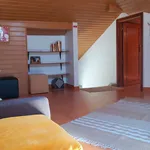 Rent a room of 25 m² in Ribeira Brava