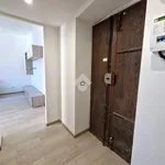 Rent 2 bedroom apartment of 55 m² in Sesto San Giovanni