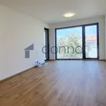 Pronajměte si 2 ložnic/e byt o rozloze 57 m² v Capital City of Prague