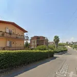 Rent 2 bedroom apartment of 55 m² in Roma