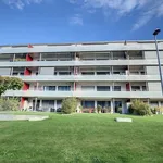 Rent 3 bedroom apartment of 62 m² in Estavayer-le-lac