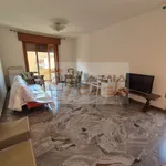 Affitto 3 camera appartamento di 110 m² in padova