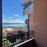 Rent 1 bedroom apartment of 45 m² in Comerio