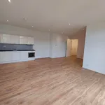 Huur 1 slaapkamer appartement van 58 m² in Arnhem