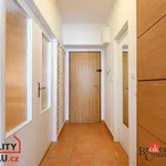 Rent 1 bedroom apartment in Plzeň