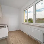 Rent 2 bedroom apartment of 56 m² in Zlín