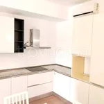 Rent 2 bedroom apartment of 55 m² in Milano