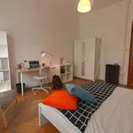 Rent a room in padua