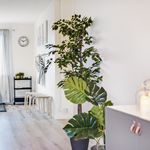 Rent 2 rooms apartment of 60 m², in Avesta
