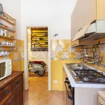 Rent 2 bedroom apartment of 60 m² in Rome