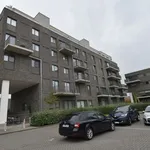 Rent 2 bedroom apartment in Gullegem