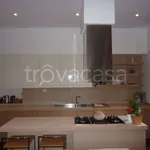 Rent 4 bedroom apartment of 110 m² in Torino