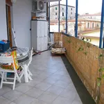 Rent 2 bedroom apartment of 50 m² in Alatri