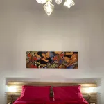 Rent 4 bedroom apartment in Bologna