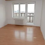 Rent 1 bedroom apartment in Ostrava