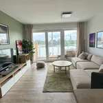 Rent 2 bedroom apartment of 70 m² in Dresden