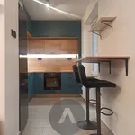 Rent 2 bedroom apartment in Brno