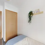 Rent 4 bedroom apartment in Valencia