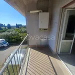 Rent 3 bedroom apartment of 110 m² in Roma