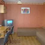 Rent 2 bedroom apartment of 38 m² in Poznan