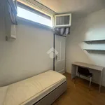 Rent 1 bedroom apartment of 1 m² in Rovereto