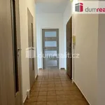 Rent 2 bedroom apartment of 51 m² in Otrokovice