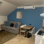 Pronajměte si 1 ložnic/e byt o rozloze 35 m² v Prague