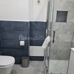 Rent 1 bedroom apartment of 40 m² in Palermo