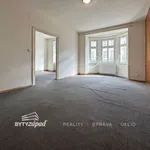 Rent 3 bedroom apartment of 95 m² in Plzeň