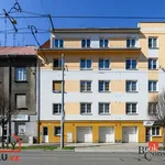 Rent 1 bedroom apartment in Plzeň