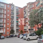 Rent 3 bedroom apartment of 86 m² in Trieste