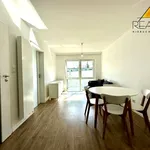 Rent 2 bedroom apartment of 35 m² in Leszno