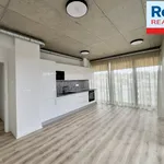 Pronajměte si 3 ložnic/e byt o rozloze 61 m² v Liberec