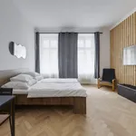 Rent 1 bedroom apartment of 40 m² in Prague