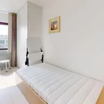 Rent 3 bedroom apartment in Knokke