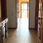 Rent 2 bedroom apartment of 80 m² in Cedofeita, Porto