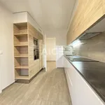 Rent 4 bedroom apartment in Genève,