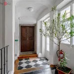 Rent 2 bedroom apartment of 30 m² in Praha 1