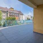 Rent 4 bedroom apartment of 114 m² in Sosnowiec