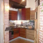 Rent 1 bedroom apartment of 40 m² in Krakow