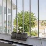 Rent 3 bedroom apartment in Madrid