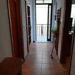 Rent 4 bedroom apartment of 60 m² in Ferrara