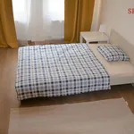 Rent 2 bedroom apartment of 20 m² in Capital City of Prague