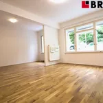 Pronajměte si 1 ložnic/e byt o rozloze 41 m² v Brno