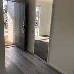 Rent 3 bedroom house in Rotorua