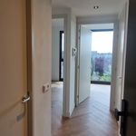 Huur 3 slaapkamer appartement van 65 m² in Kloosterland-Endepoel